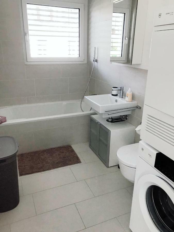 Easy-Living Apartments Dietwil מראה חיצוני תמונה
