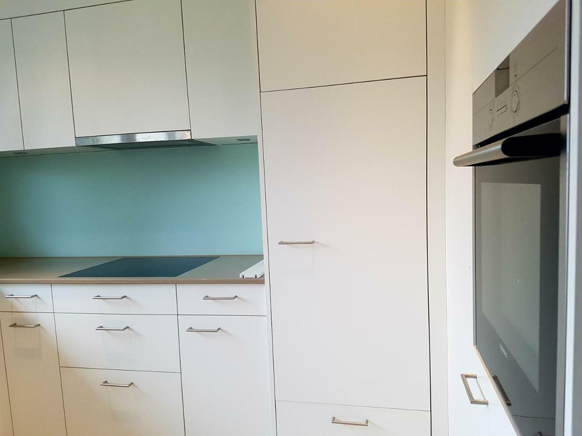 Easy-Living Apartments Dietwil מראה חיצוני תמונה