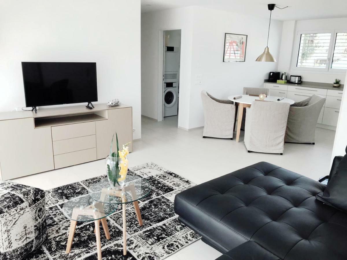 Easy-Living Apartments Dietwil מראה חיצוני תמונה