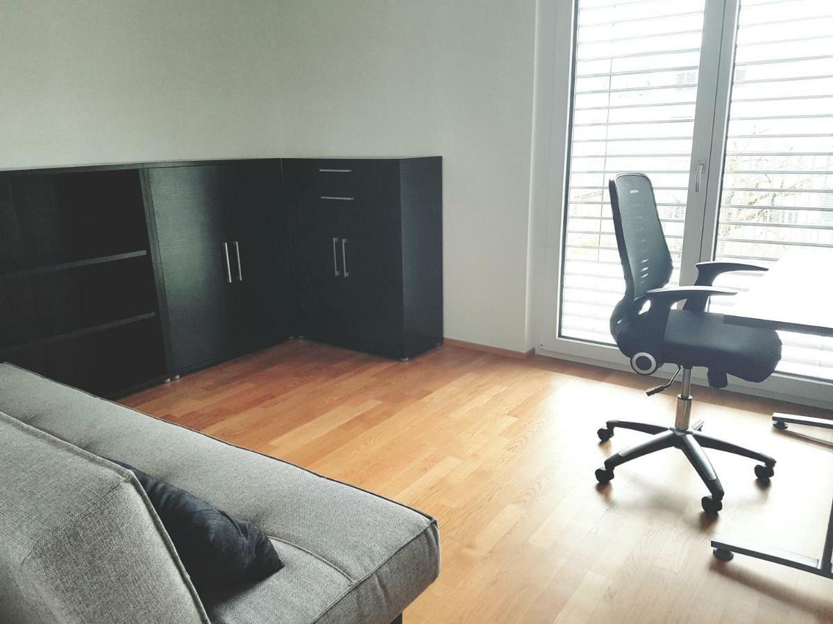 Easy-Living Apartments Dietwil מראה חיצוני תמונה