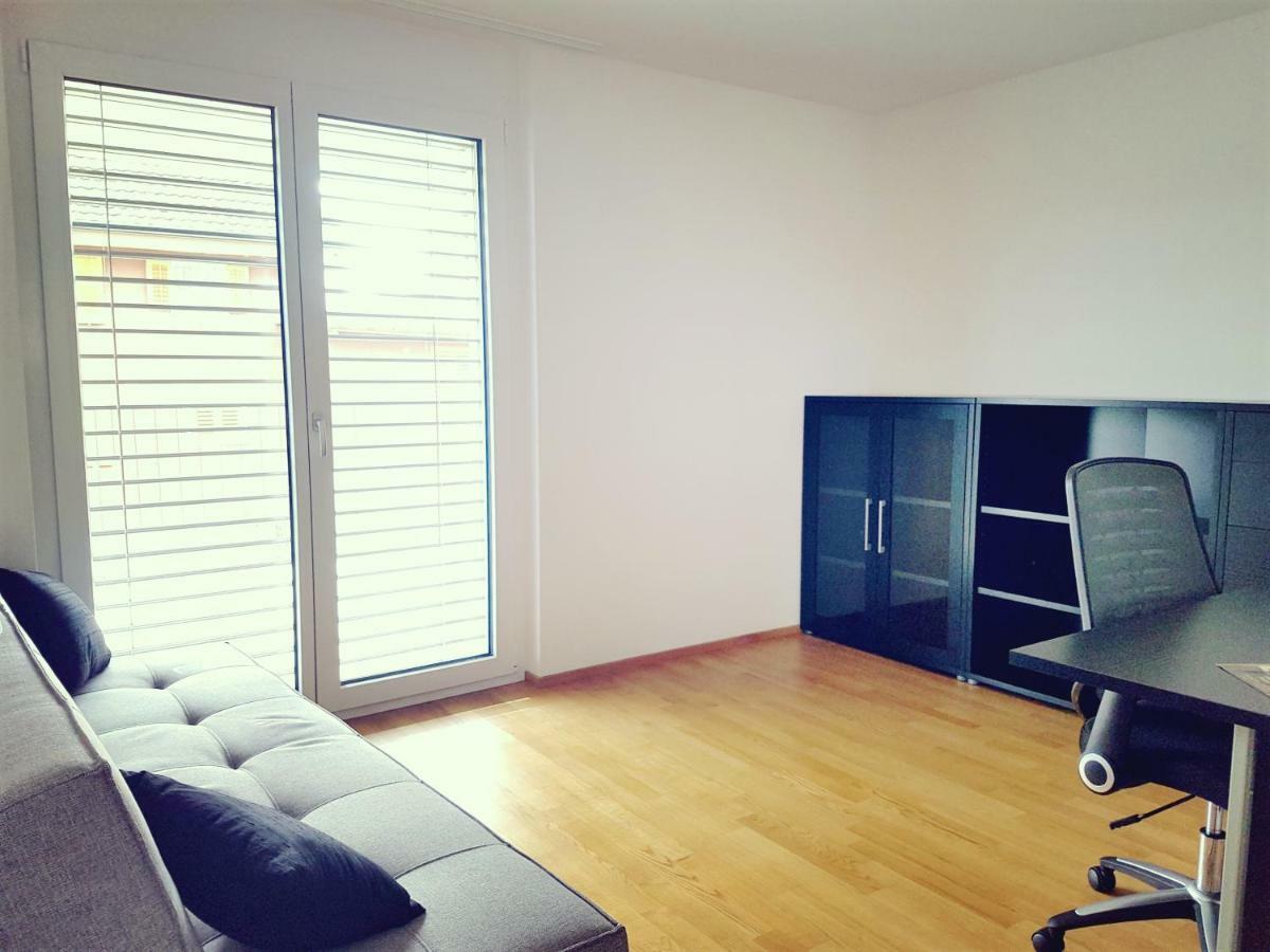 Easy-Living Apartments Dietwil מראה חיצוני תמונה