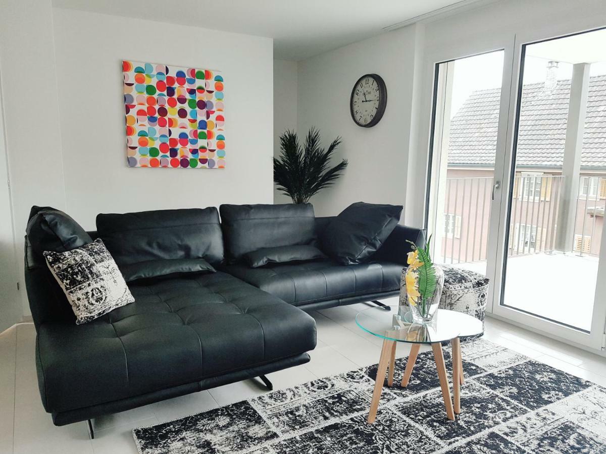 Easy-Living Apartments Dietwil מראה חיצוני תמונה